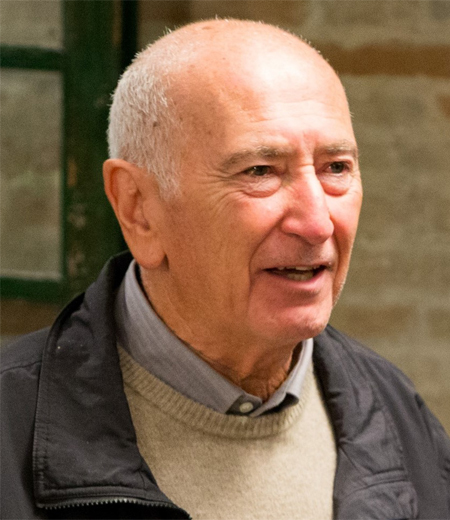 Prof. Mario Ricco